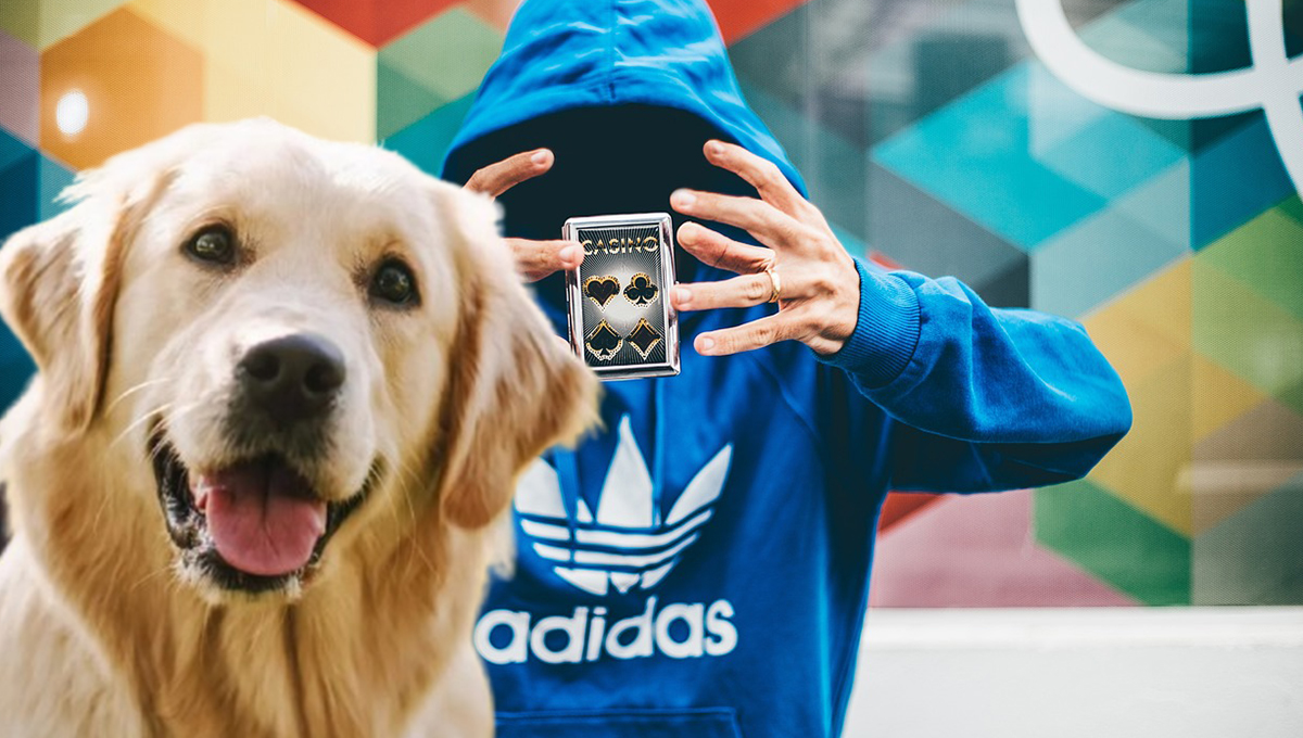 adidas adidog ropa para perros adidas orginals marca
