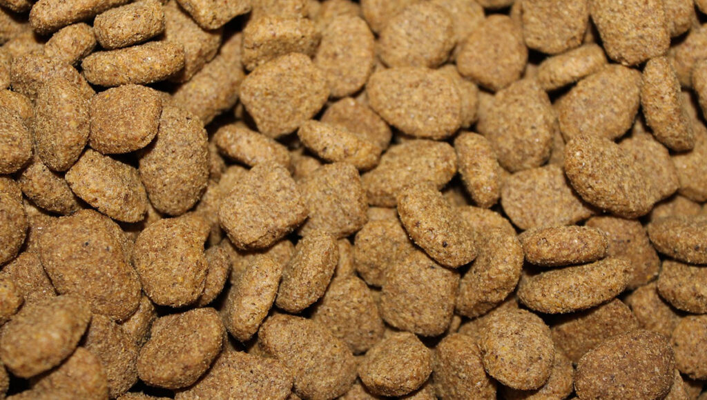 De acuerdo con información de la Procuraduría Federal del Consumidor, las croquetas de Sam´s Club de la marca Member´s Mark, tiene una calificación como buena, debido a la relación de calidad y precio. Además, se han posicionado como una de las mejores entre las opciones más económicas, pero existe otros productos que pueden ser más costosas