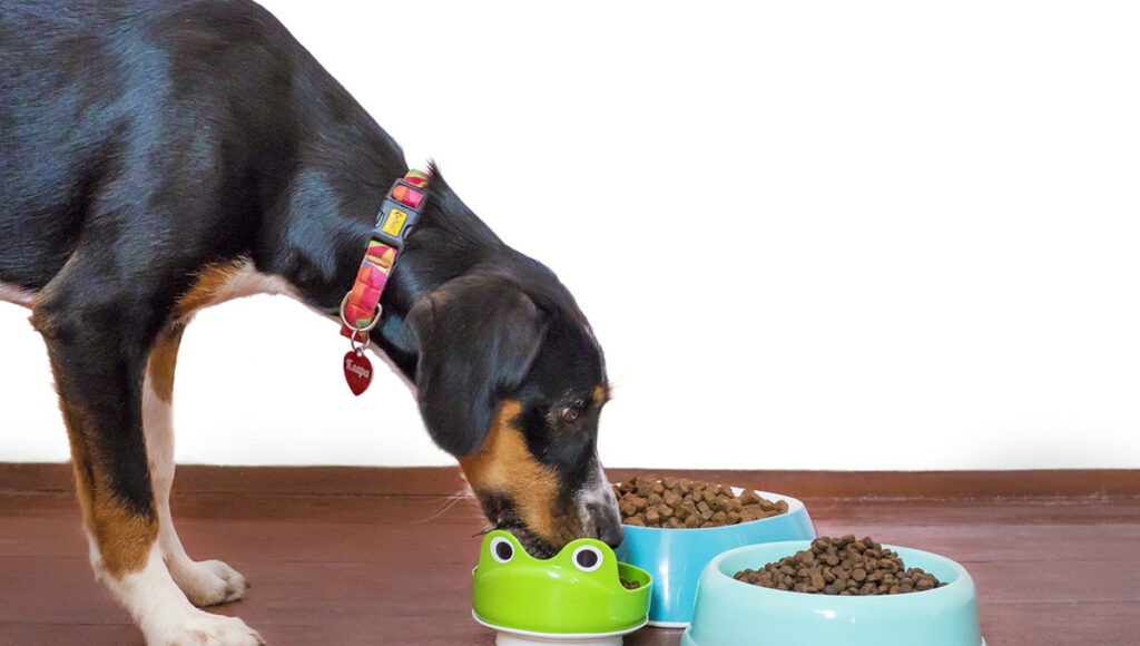 dog chow pedigree profeco mejores croquetas