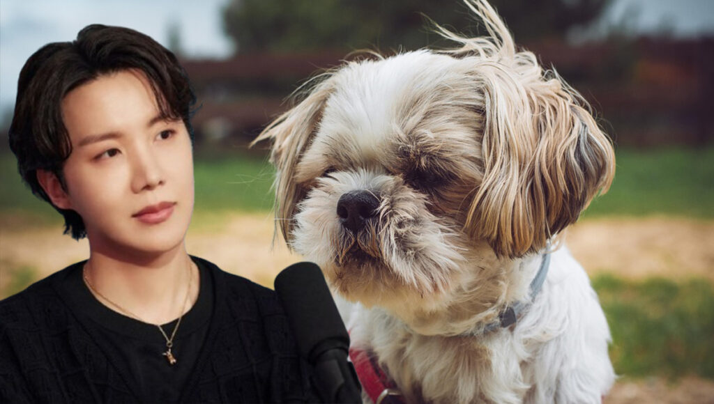 j hope cual es el estado de salud de su perrita