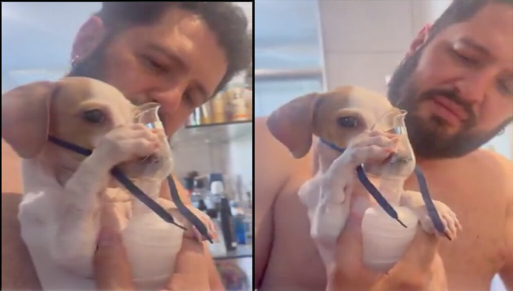 Este perro se autoaplica sus nebulizaciones y enternece a todos