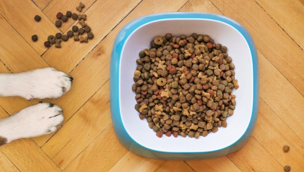 qué tan buenas son las croquetas nupec para perro