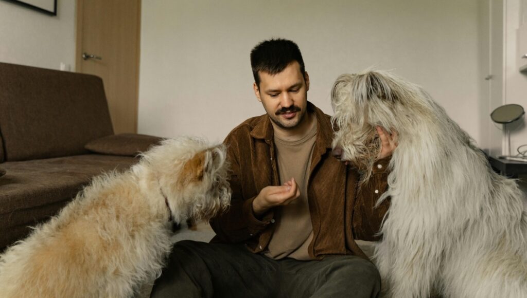 cómo adoptar perros del CTC