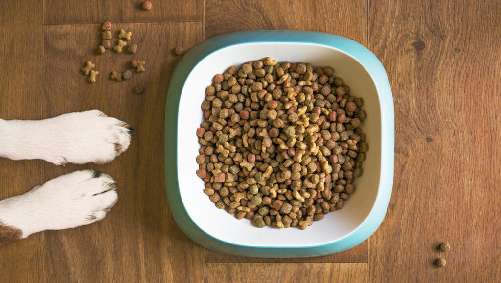 Qué croquetas tienen mas proteína si la de la marca ganador o pedigree