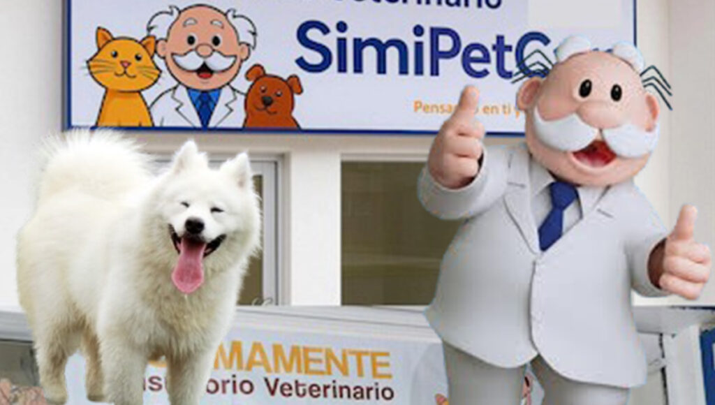 Veterinarias simi pet care cuanto valdrán las consultas