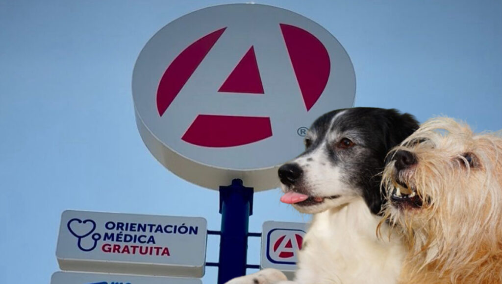 Farmacias del ahorro veterinarias nuevo servicio