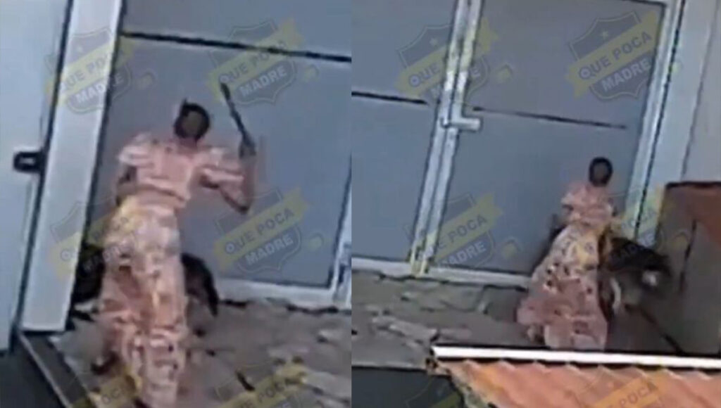 Funcionaría Pública golpea brutalmente a unos perros en el Estado de México