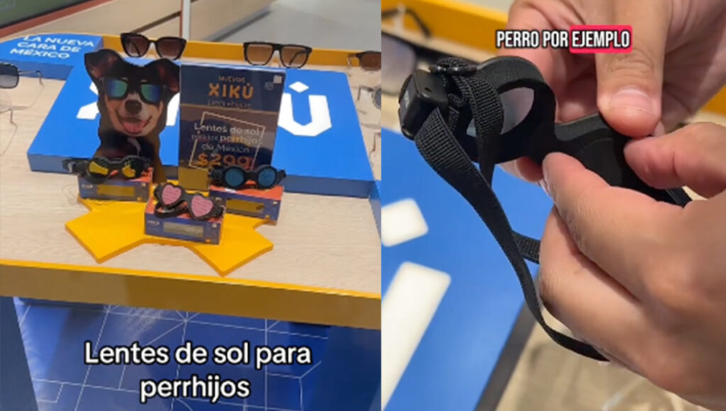 Lentes de sol para perros