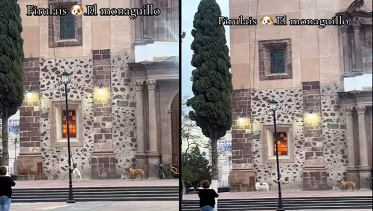 Perro monaguillo jala cuerda de la iglesia