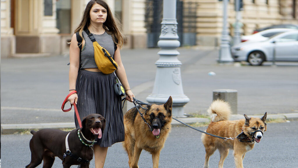 Perros guías podrán entrar a estos edificios Estado de México