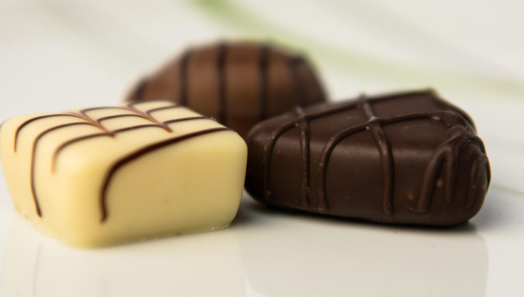 ¿Qué le pasa a mi perro si come chocolate?