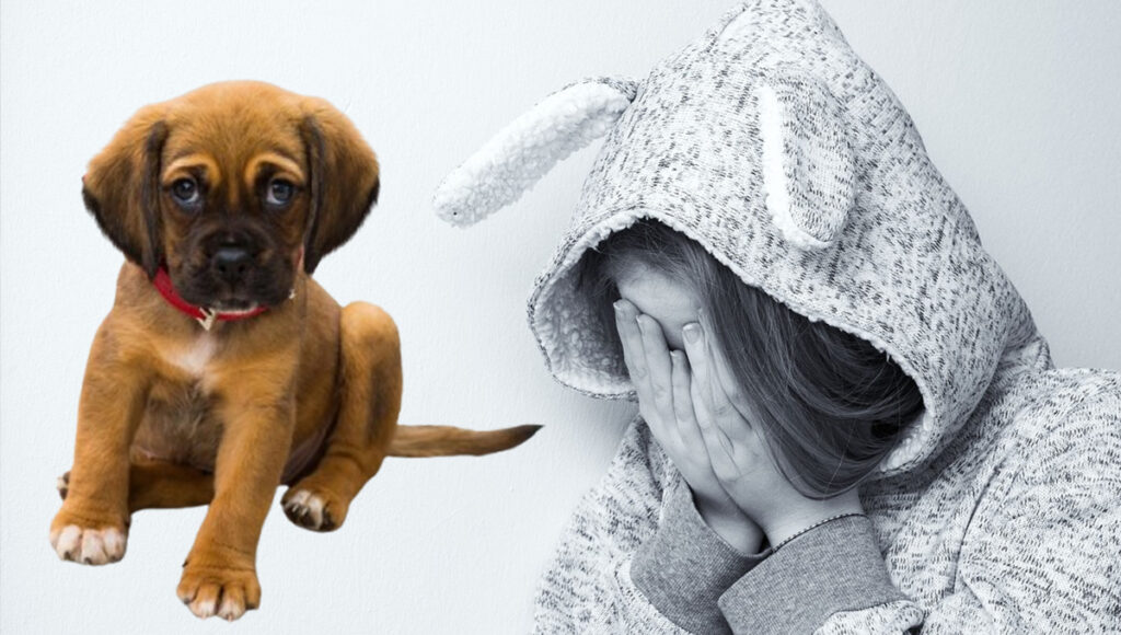 ¿Qué sienten los perros cuando ven a sus dueños llorar?
