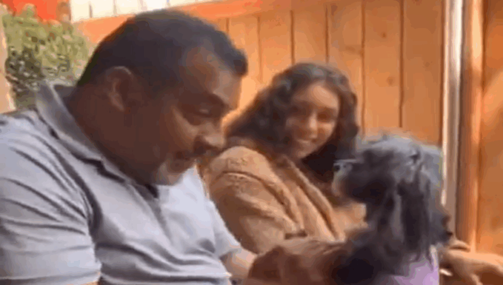 videos de perros y sus dueños