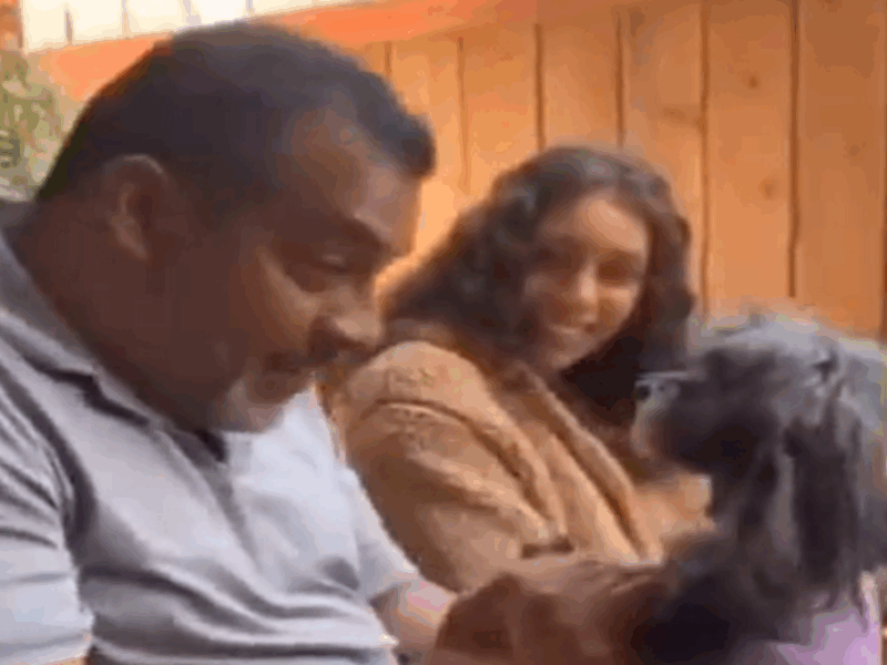 videos de perros y sus dueños