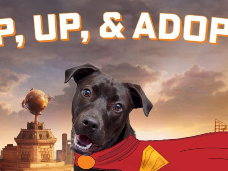¡Ganó la esperanza! Krypto en Superman logra CAMBIO importante en la vida real