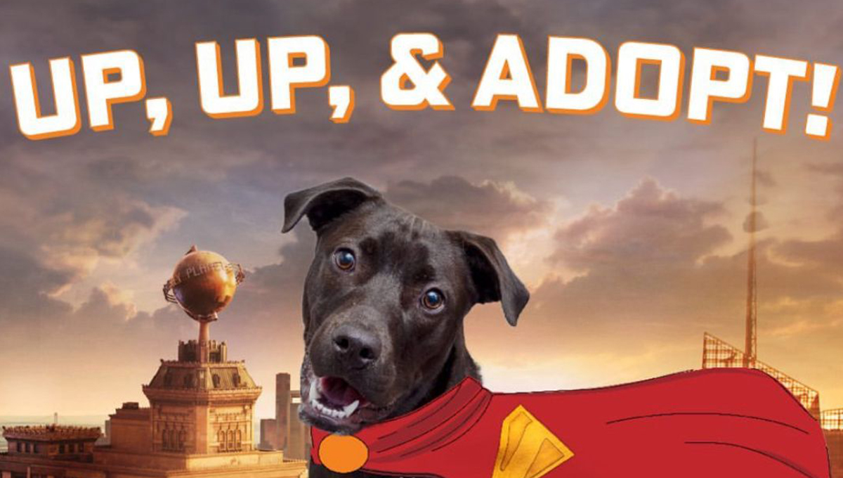 ¡Ganó la esperanza! Krypto en Superman logra CAMBIO importante en la vida real