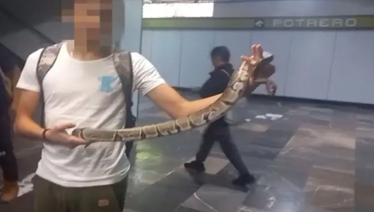 ¡No fue en el último vagón! Detienen a hombre por sacar SERPIENTE en el Metro