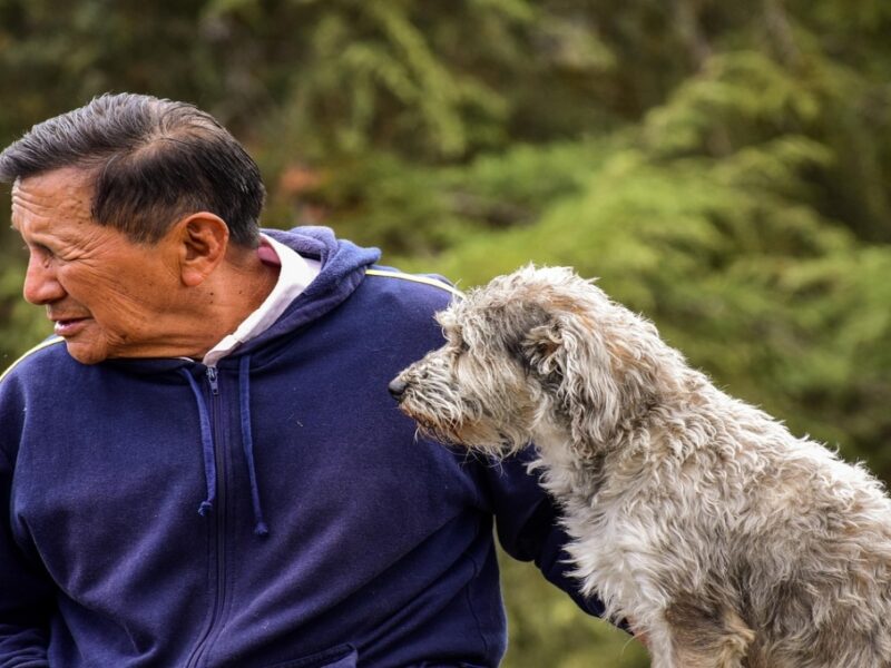 ¿Cuál es la mejor mascota de compañía para adultos mayores?