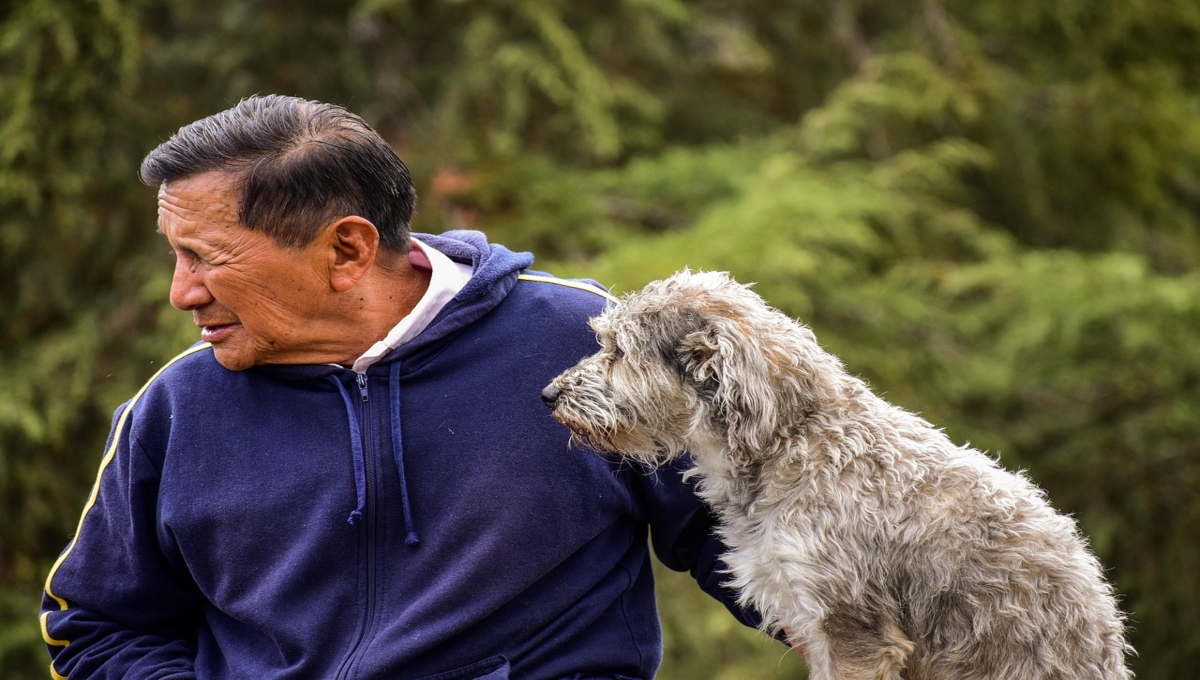 ¿Cuál es la mejor mascota de compañía para adultos mayores?