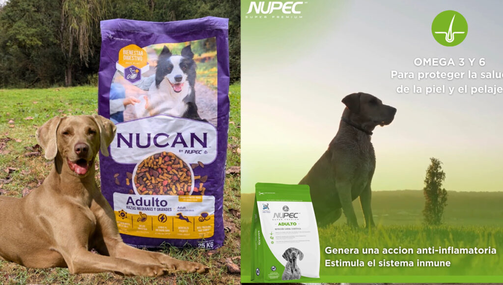 ¿Nucan y Nupec son lo mismo?