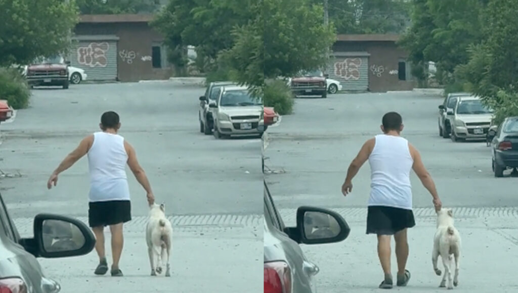 ¿Por irse de parranda? Captan a perrito REGAÑADO y llevado a casa