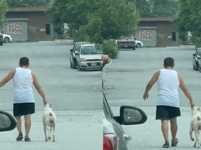 ¿Por irse de parranda? Captan a perrito REGAÑADO y llevado a casa