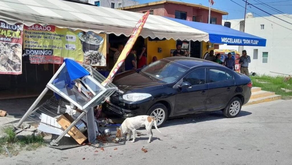 perritos hicieron rapiña