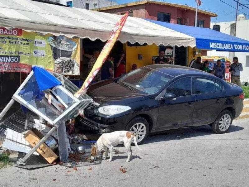 perritos hicieron rapiña
