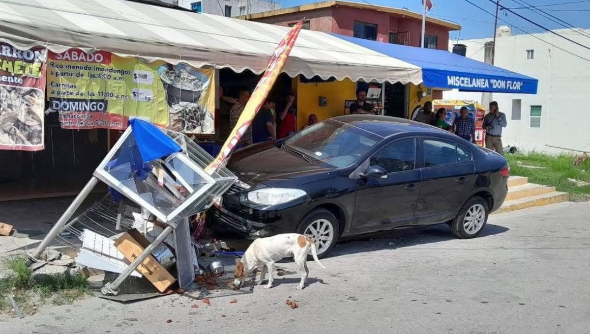 perritos hicieron rapiña