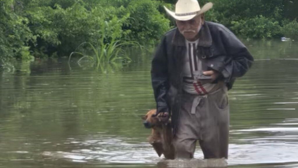 Abuelito se hace viral al rescatar a su perrito de las inundaciones en México