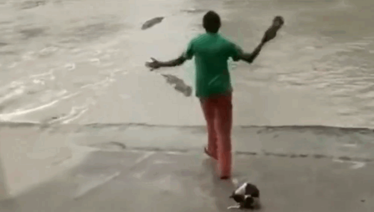 mujer salva a perro de ataque de cocodrilo