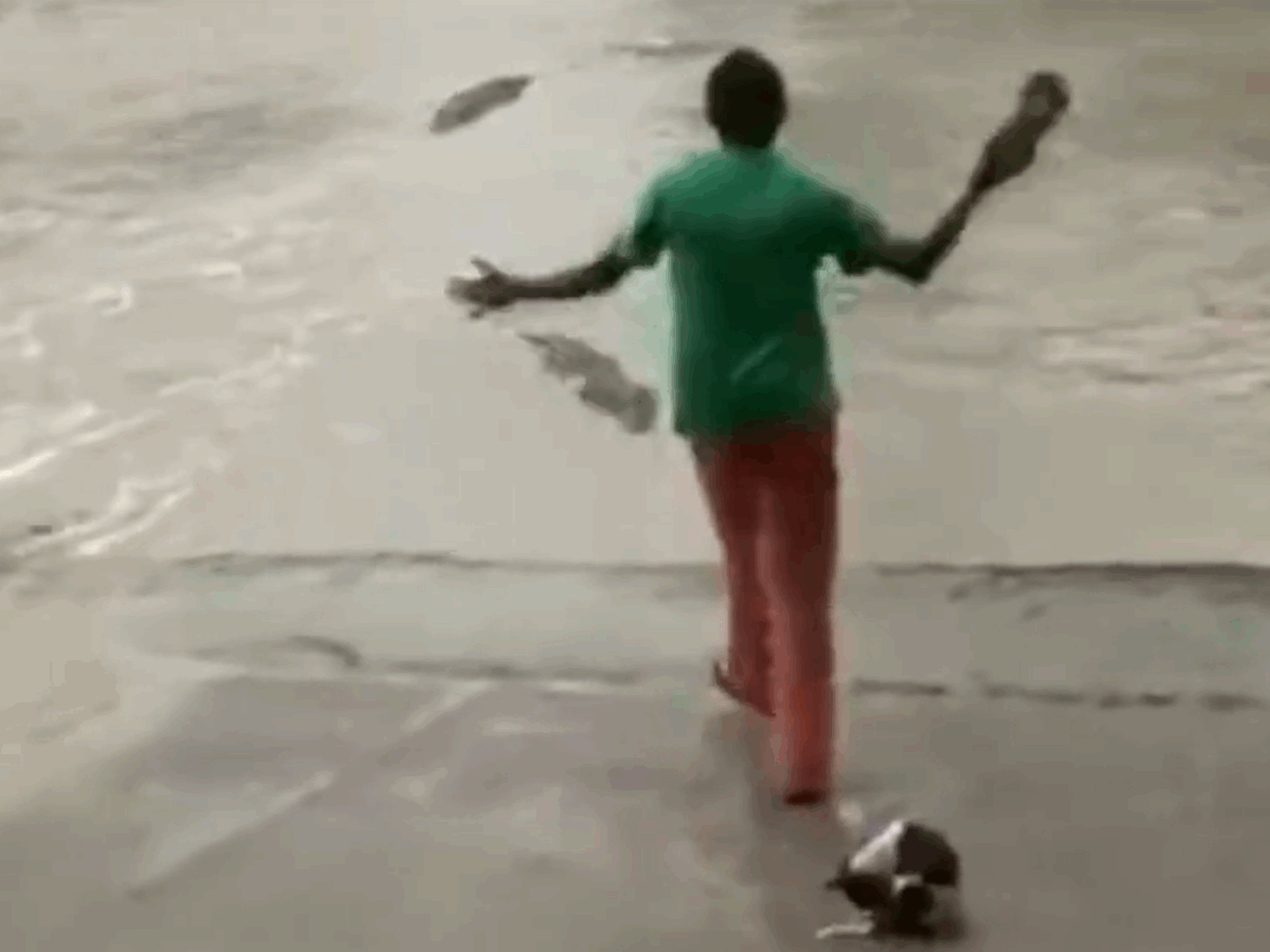 mujer salva a perro de ataque de cocodrilo