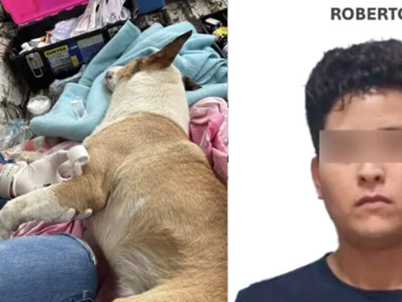 Critican falta de justicia en Morelos tras leve castigo de hombre que golpeó hasta matar a perro