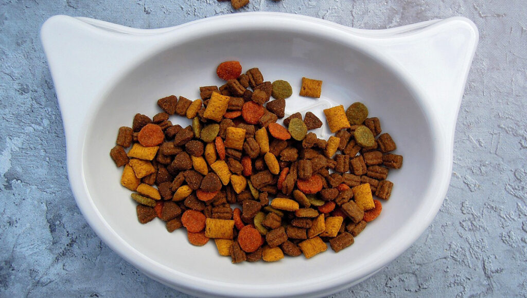 Croquetas: ¿qué tan bueno es el costal de Gatina para gatos?