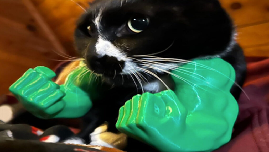 Haz MUSCULOSO a tu gatito: venden brazos para que tengas al michi más fuerte del condado