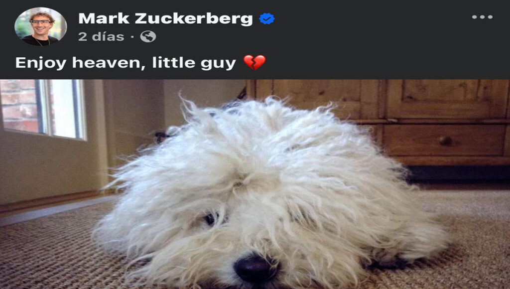 Mark Zuckerberg se despide de su fiel compañero "Beast" con un emotivo mensaje