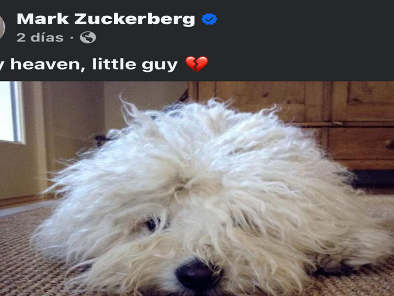Mark Zuckerberg se despide de su fiel compañero "Beast" con un emotivo mensaje