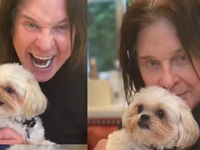 que perros tenía ozzi osbourne