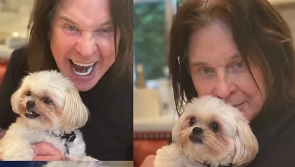 que perros tenía ozzi osbourne