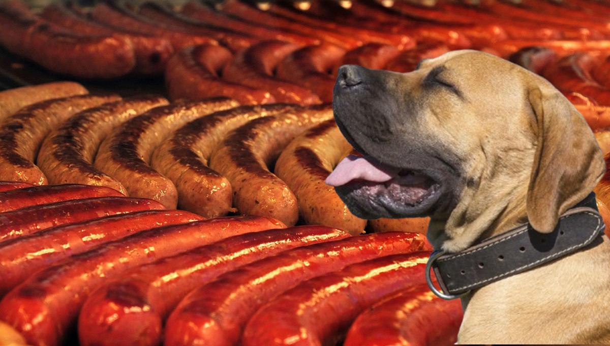 Perros: ¿qué tipo de salchichas les puedes dar de comer?