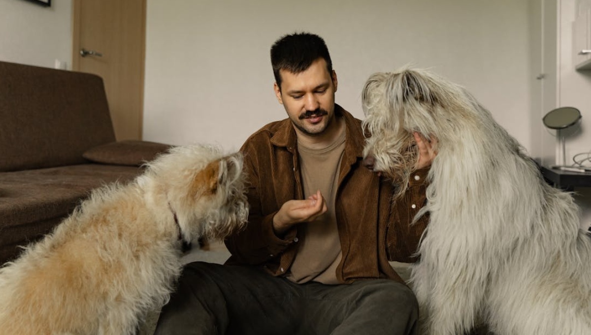 cuánto tiempo le toma a los perros olvidar a sus dueños