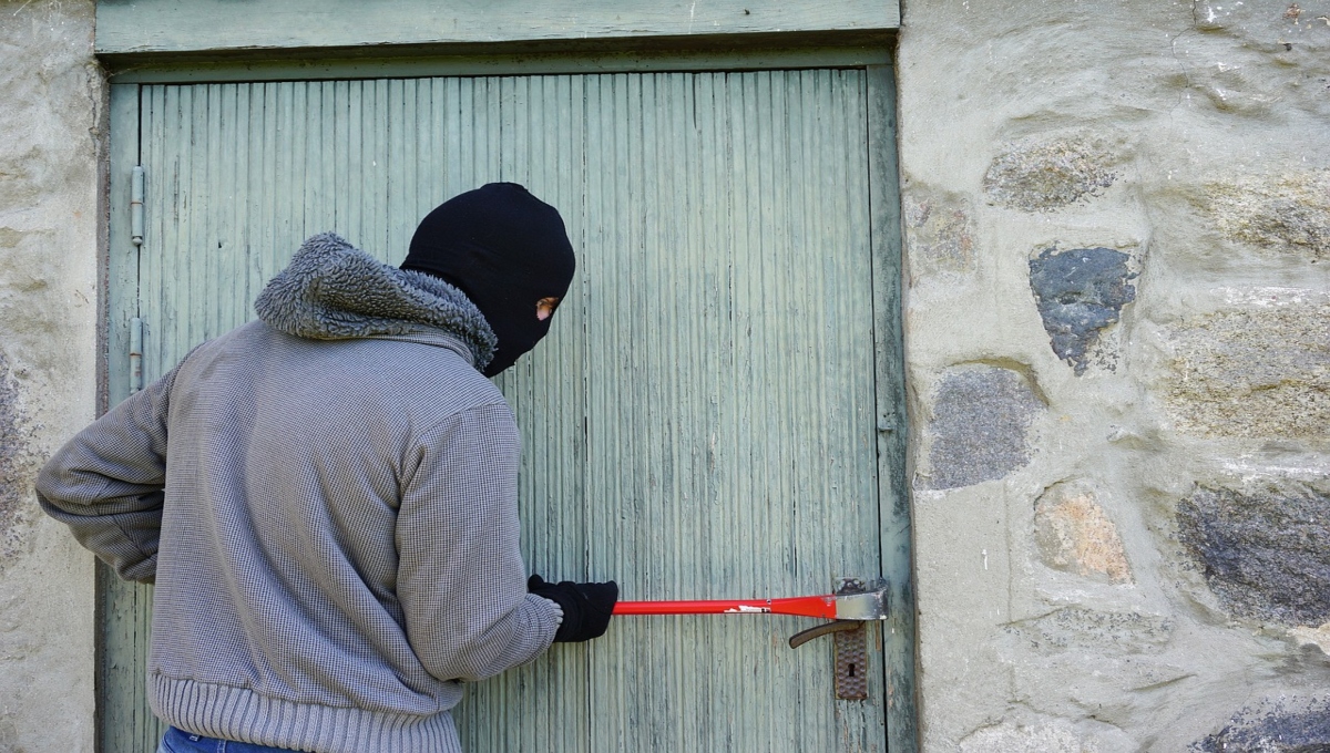 Se meten a su casa a asaltar y su propio perro LA MUERDE