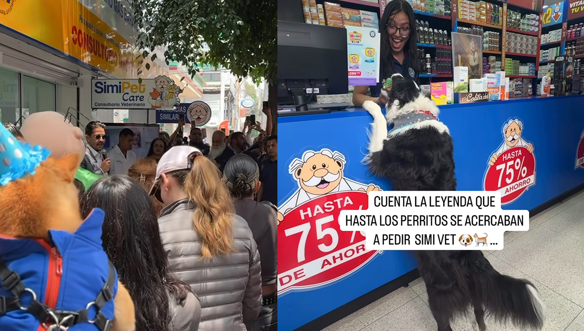 SimiPet Care va por más sucursales en CDMX: estas serán sus nuevas aperturas