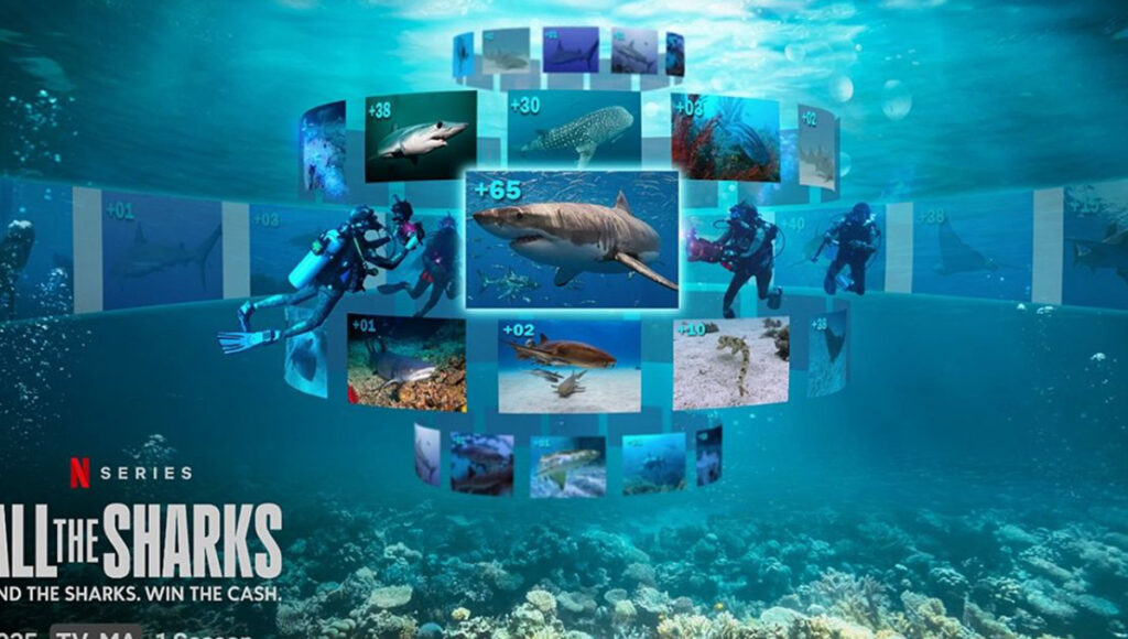 Todos los tiburones de Netflix: sinopsis y reparto de la serie