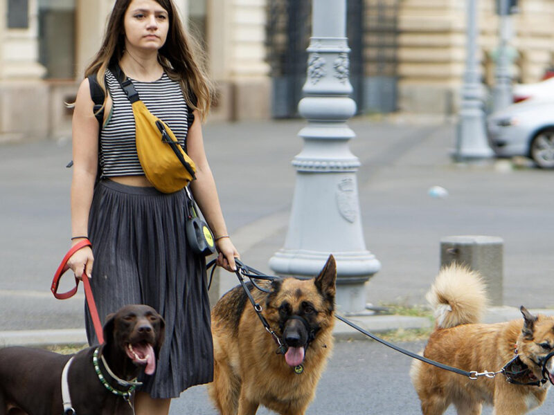 Universidad revela cuáles son los beneficios de pasar tiempo por un perro