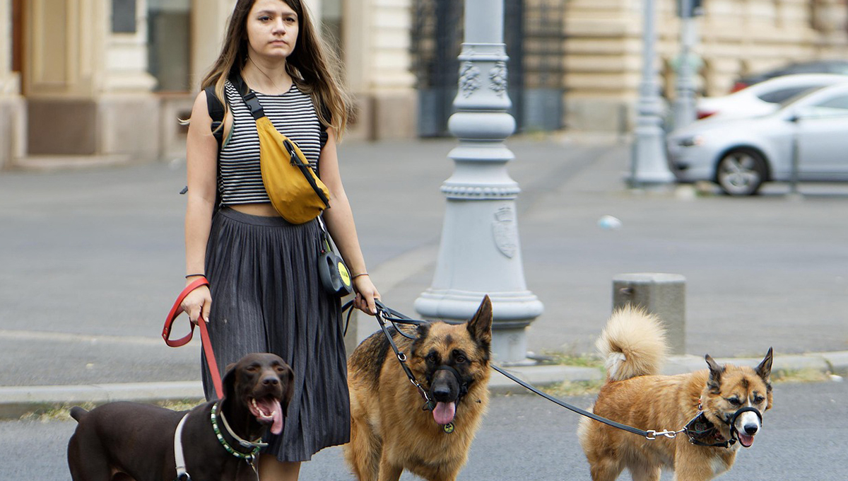Universidad revela cuáles son los beneficios de pasar tiempo por un perro