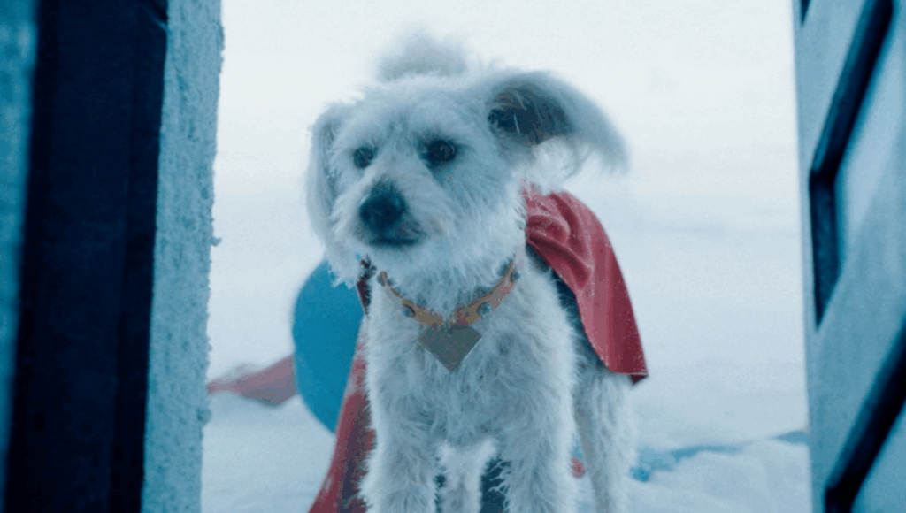 perro de superman