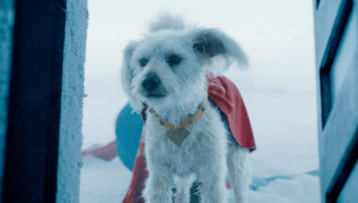 perro de superman