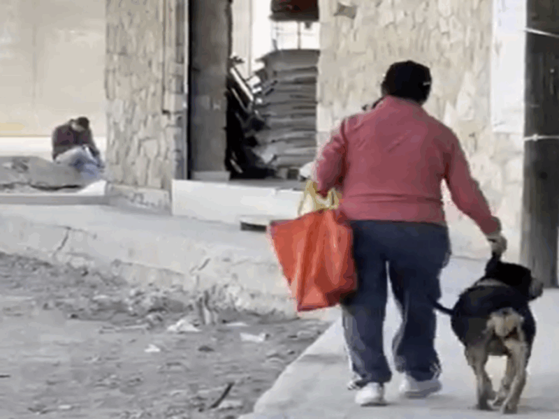 perro tomado de la oreja