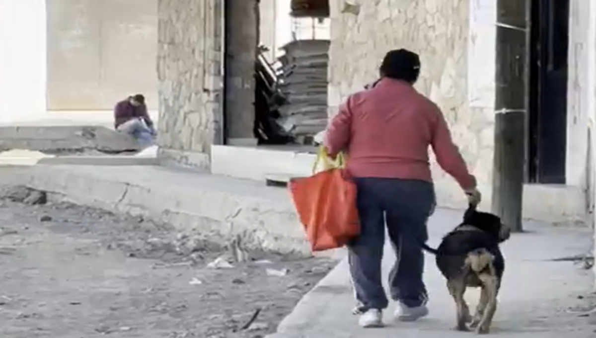 perro tomado de la oreja